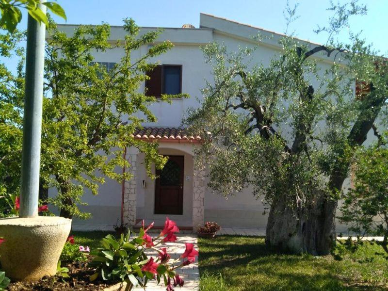 Bed and Breakfast Borgo Cerasa à Vieste Extérieur photo