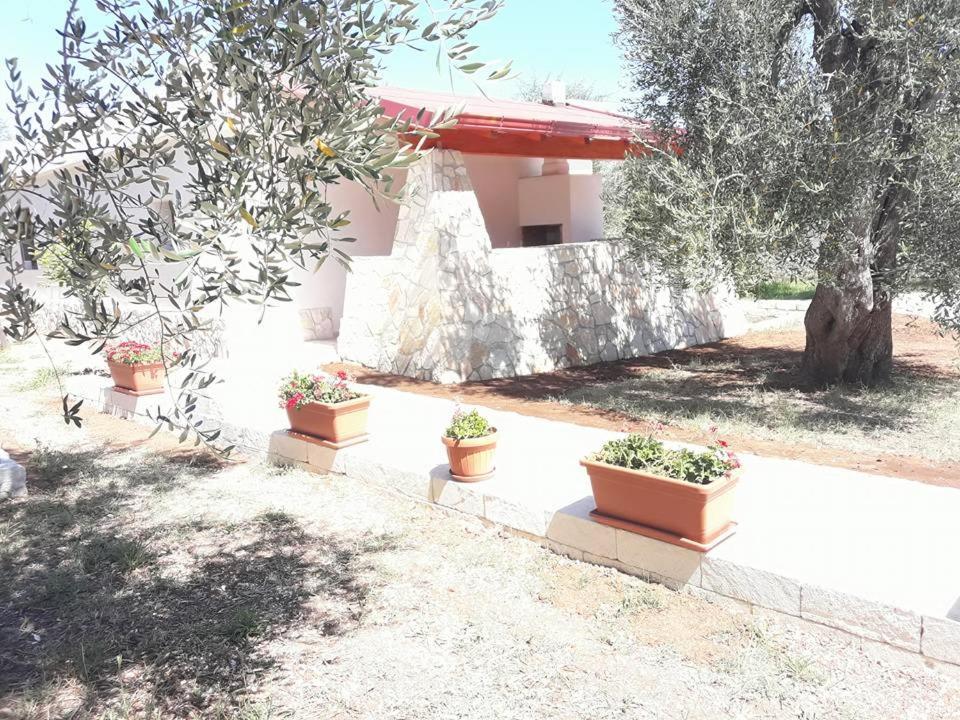 Bed and Breakfast Borgo Cerasa à Vieste Extérieur photo